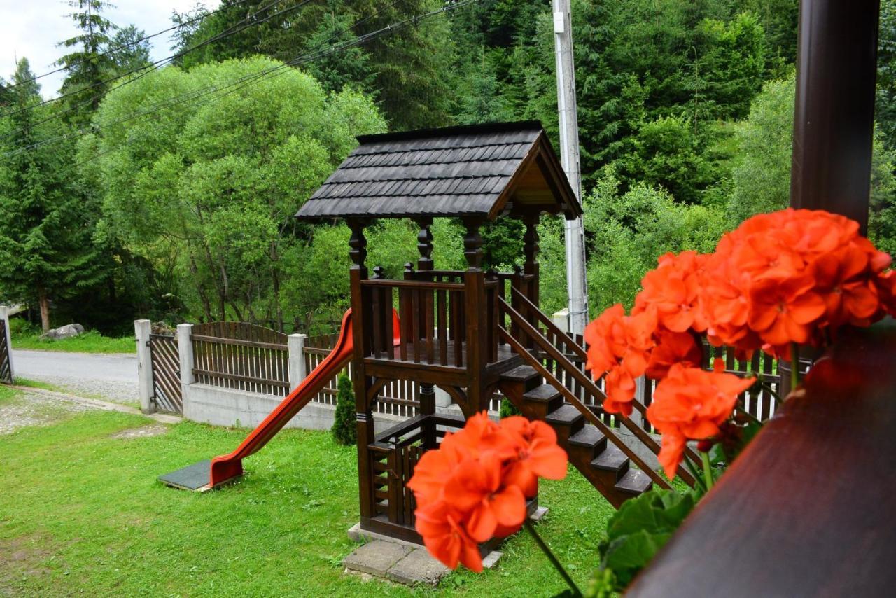 Cabana Cascada Cailor Borşa Exterior foto