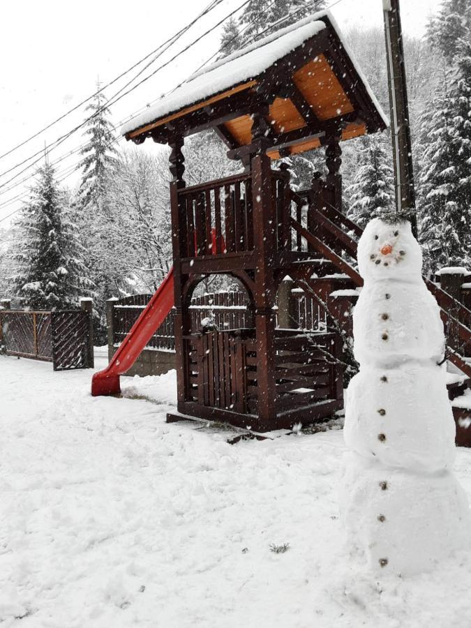 Cabana Cascada Cailor Borşa Exterior foto