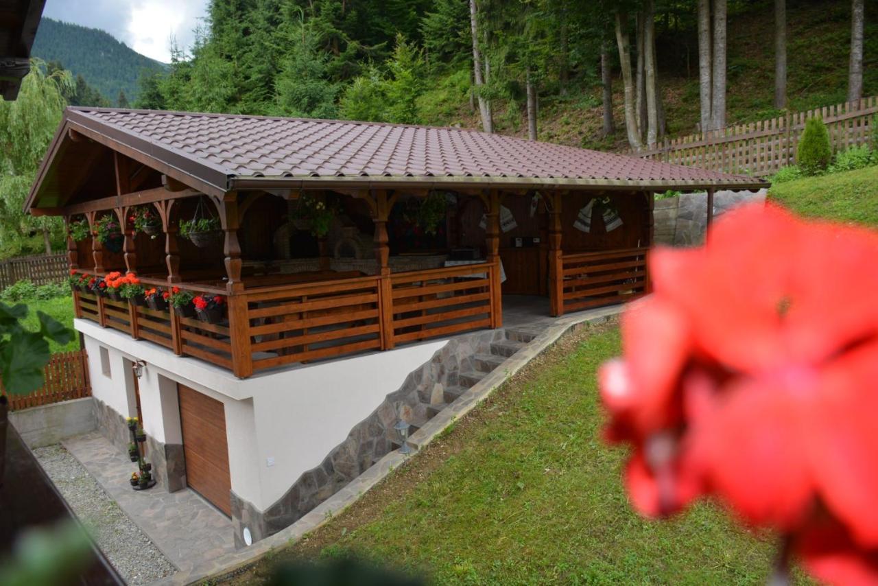 Cabana Cascada Cailor Borşa Exterior foto