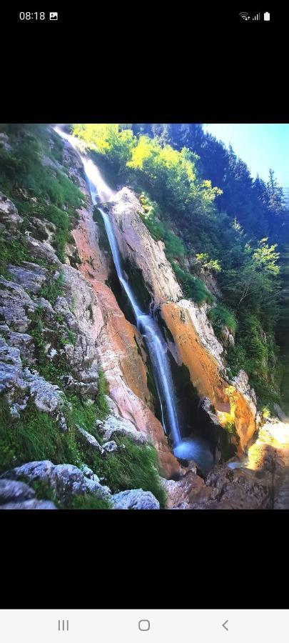Cabana Cascada Cailor Borşa Exterior foto
