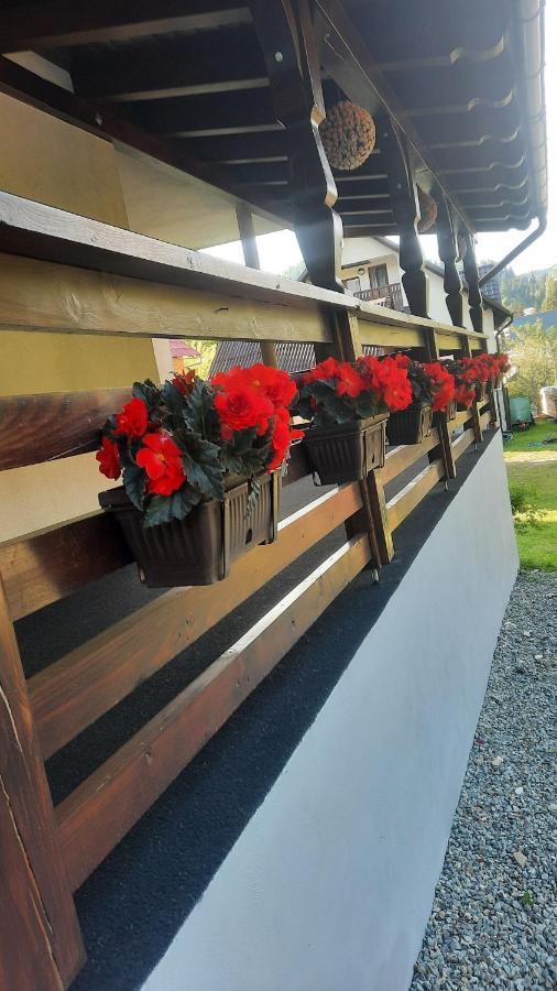 Cabana Cascada Cailor Borşa Exterior foto